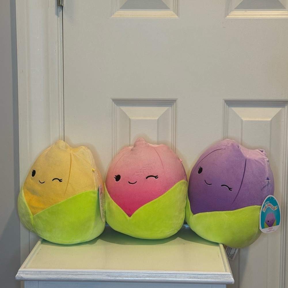 Jeannie, Jackie, Bridgie Tulip Squishmallows 8”